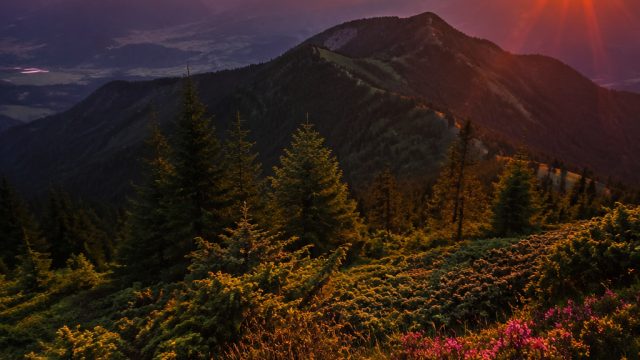 Captivating Visual Escapes: Explore Our Latest Wallpaper Collection | hasil liga premier inggris tad