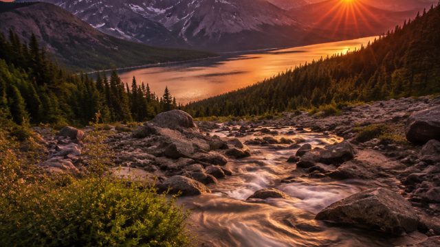 Explore Our Vibrant Collection of Nature-Inspired Wallpapers | dana slot, 67 togel, slot online prag