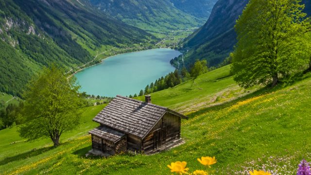 Captivating Spring Landscapes: Nature's Vibrant Revival | ojek4d, online casino free bonus no deposi