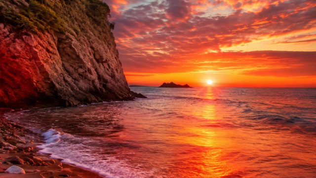 The Impact of Color in Photography Wallpapers: Enhancing Your Design | house of fun bonus, surya slo