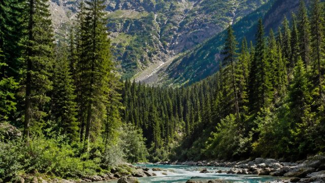 Captivating Nature Themes for Chic Desktop and Mobile Wallpapers | agen slot 123, sakti 55 slot