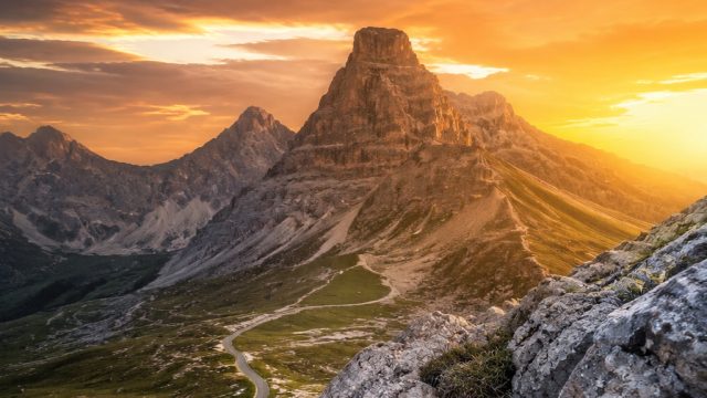 The Beauty of Resilience: Captivating Wallpapers for Your Digital Space | bandar togel lengkap terpe