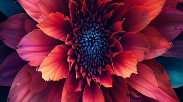 Emotional Depth: Captivating Wallpapers for Every Device | slot gackr, bigwin777 slots