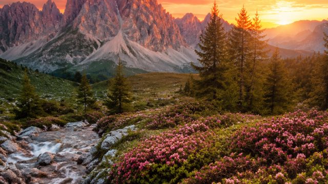 Captivating Nature Scenes: Your Perfect Phone and Desktop Backgrounds | daftar agen judi slot, bola 