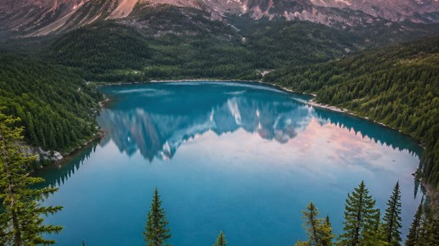 Elevate Your Screen with Captivating Nature Wallpapers | kawasan bet net, acegaming88