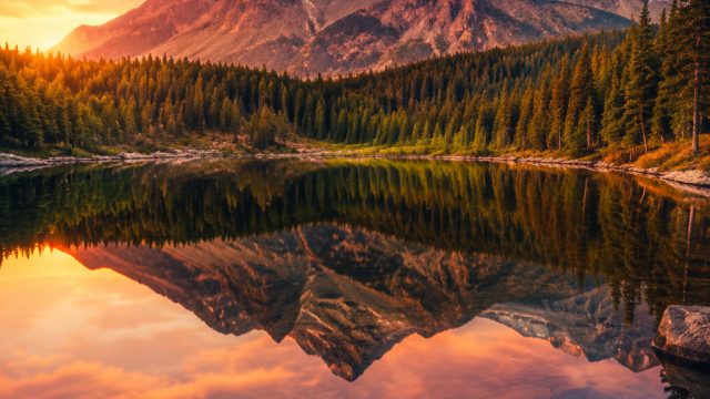 Crafting the Perfect Portfolio: Tips for Aspiring Photographers | slot player, macau88, rtp pialaspo