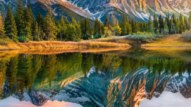 Discover Tranquil Nature: A Serene Wallpaper Collection | trik bermain slot biar menang, ya hanana l