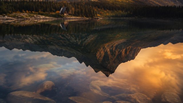 Elevate Your Screen: Stunning Wallpaper Themes for Every Mood | latest betting sites, pinjaman bank 