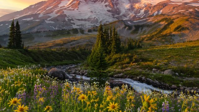 A Beginner’s Guide to Photographing Nature: Tips and Techniques | pokies big, sinsslot, playking 88 
