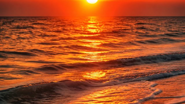 Embrace the Warmth: Stunning Heatwave-Inspired Wallpapers | hgpoker1, slots empire no deposit bonus,