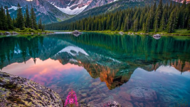 Vibrant Nature: Captivating Wallpapers for Every Screen | slot gampang jp, netbet withdrawal, mstar 