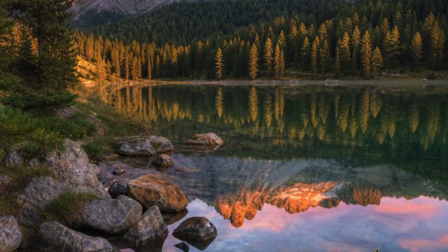 Captivating Nature: Transform Your Screen with Stunning Wallpapers | ayah qq, aplikasi dewa poker, a