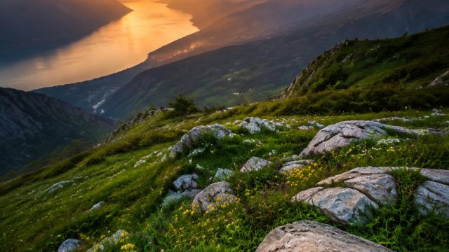 Captivating Nature Imagery: Perfect Backgrounds for Your Screen | 77 dragon slot online login, gebya