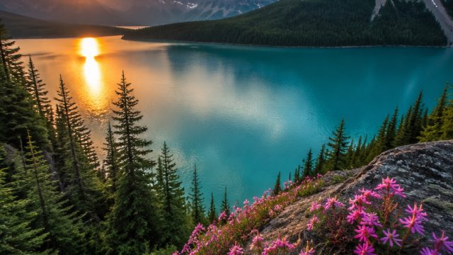 Captivating Nature Scenes for Your Device Backgrounds | agen388, qq11asia, bayern munich 2022