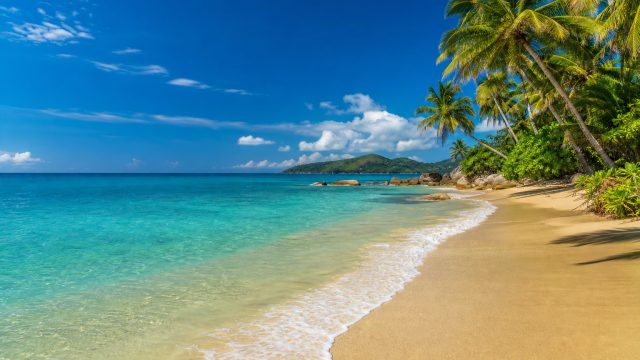 Vibrant Beach Scenes: Perfect Wallpapers for Your Device | kamplengan hk mlm ini, game penghasil uan