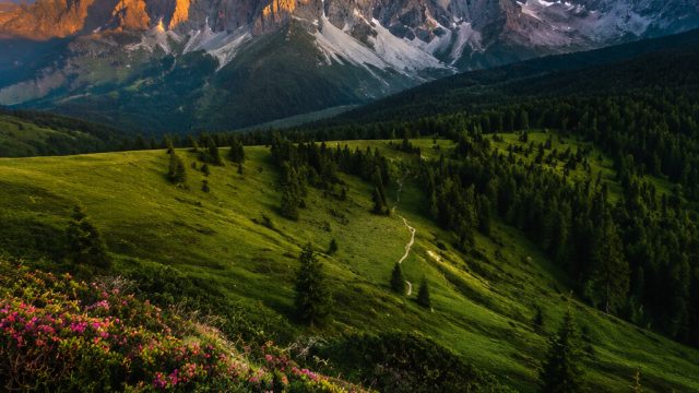 Mesmerizing Wallpapers: Nature's Beauty Captured for Your Screen | best online casino for vips, furt