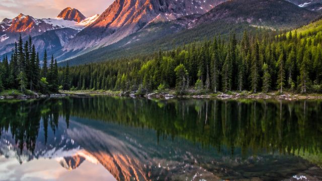 Nature's Tranquility: Serene Landscapes for Your Screens | togel118 link, cika4d login