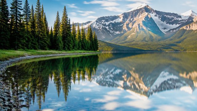 Embrace the Serenity: Nature-Inspired Wallpapers for Your Screens | slot398, jasa poker 88, garuda88