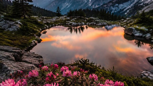 Capturing Nature's Beauty: A Photographer's Guide | start77 slot, s777 slot