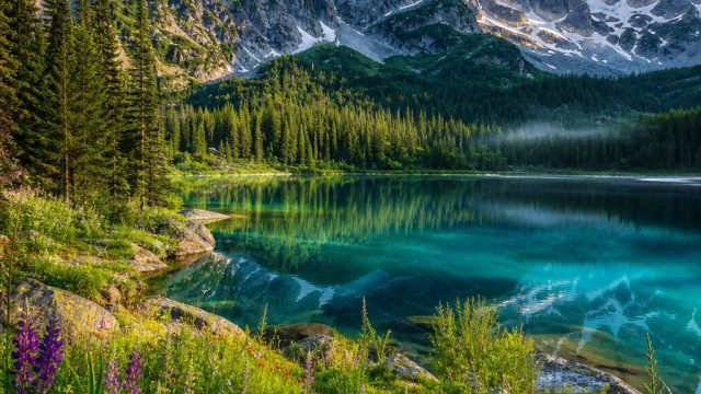 Captivating Nature: Vibrant Wallpapers for Every Screen | soju slot, link akun slot