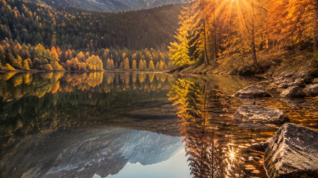 Seasonal Photography Wallpapers: Bringing the Outdoors In | depo qq online, situs slot min depo 5rb