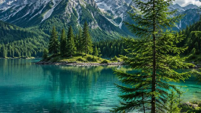 Enchanting Nature: Wallpapers That Inspire Peace and Serenity | rtp kadal4d, link qqbet89