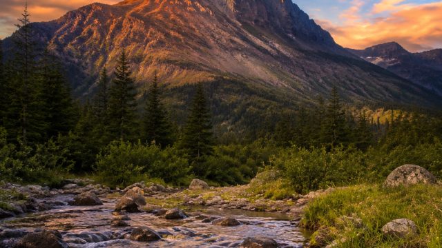 Discover the Tranquility of Nature in Stunning Wallpapers | wd hoki, game sweet bonanza demo
