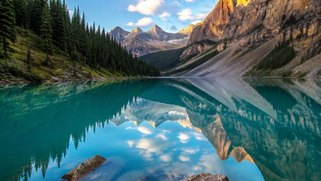 Captivating Visuals: A Gallery of Nature's Serenity | real madrid champions league 2022, mega228 slo