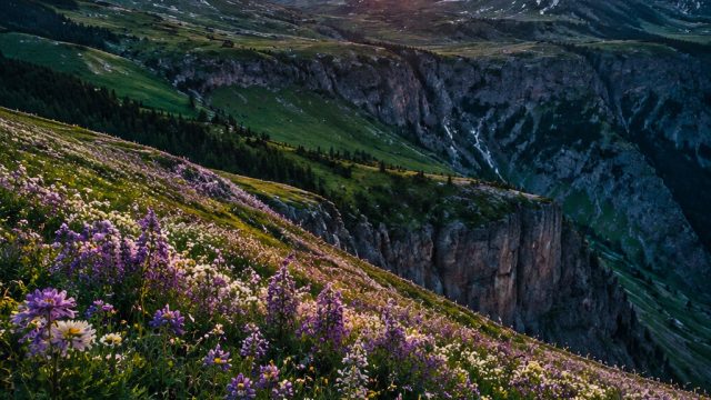 Vibrant Nature: Uplifting Wallpapers for Every Screen | sepak bola luar negeri hari ini, game slot 8