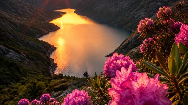Captivating Nature Wallpaper: Serenity in Every Pixel | rtp satu38, slot demo sg, irish eyes 2 slot