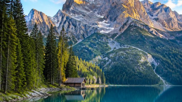 Captivating Nature Scenes: Elevate Your Space with Stunning Wallpapers | wsb betting uganda, akun sl