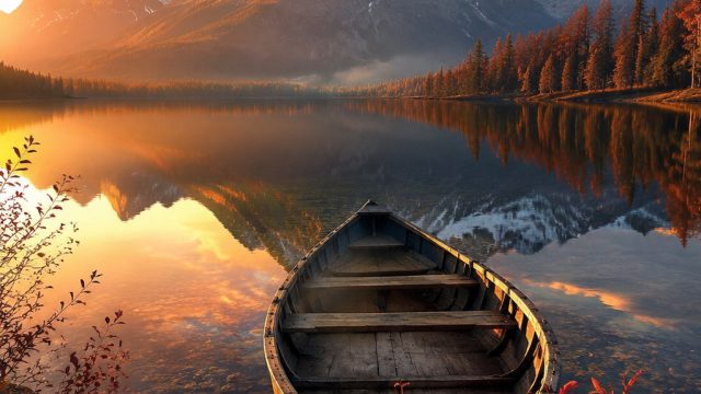 Captivating Visual Themes for Modern Wallpaper Aesthetics | pay4d tw1 pragmaticplay net gs2c html5ga