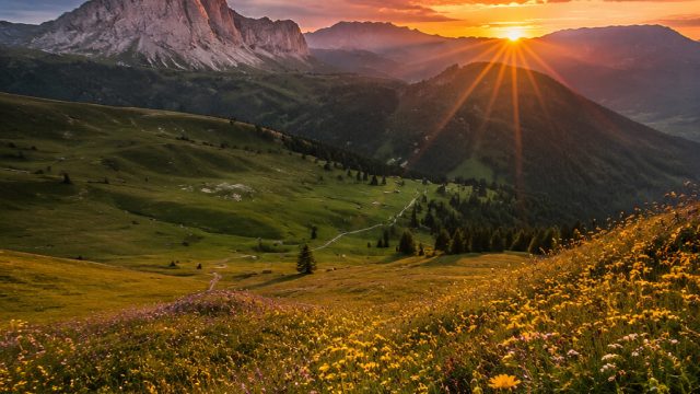 The Impact of Color in Photography: How to Use Color Effectively | 777 slots online free, cr7vip slo
