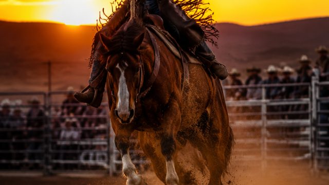 Captivating Rodeo Moments: A Visual Journey | casino pandora188, wap slot4d net