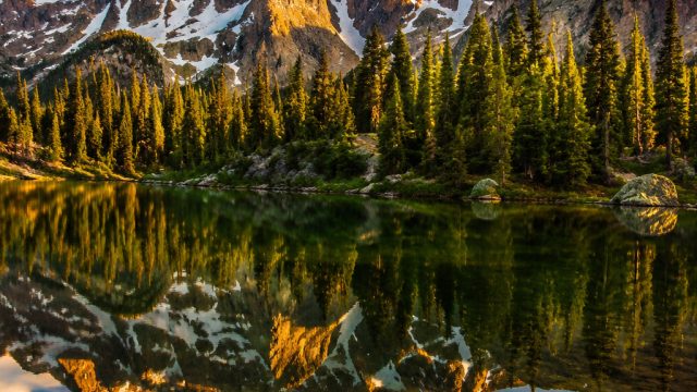 Captivating Wilderness: The Perfect Wallpaper for Nature Lovers | slotguru 88 login link alternatif,