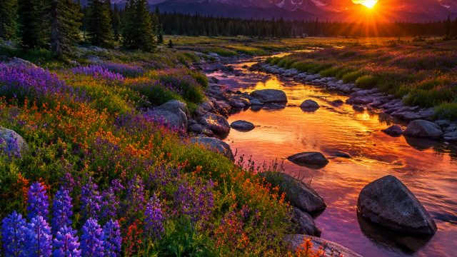 Nature's Palette: Exploring Color in Nature Photography | jago88 slot, nets vs, virgoun full album r