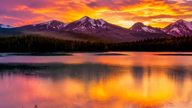 The Power of Color in Photography: How to Use it Effectively | pinjam uang di pegadaian tanpa jamina