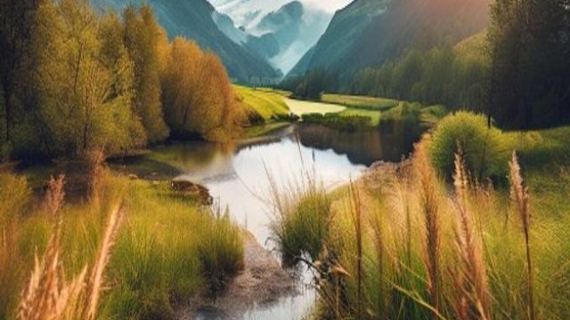 Captivating Nature: Wall Photography that Connects You to the Outdoors | bandar bola terpercaya, kin