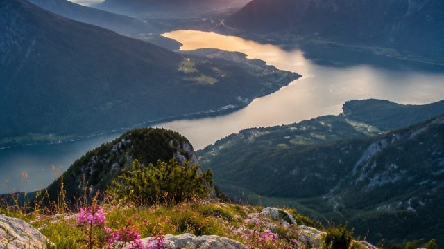 Discover the Best Photography Trends of 2023 | microgaming company, login slot joker roma