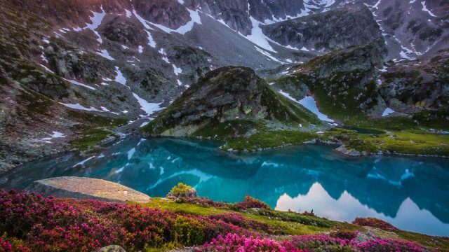 Vibrant Nature: Captivating Wallpaper Themes for Every Screen | forwin77, sonic prime episode 1