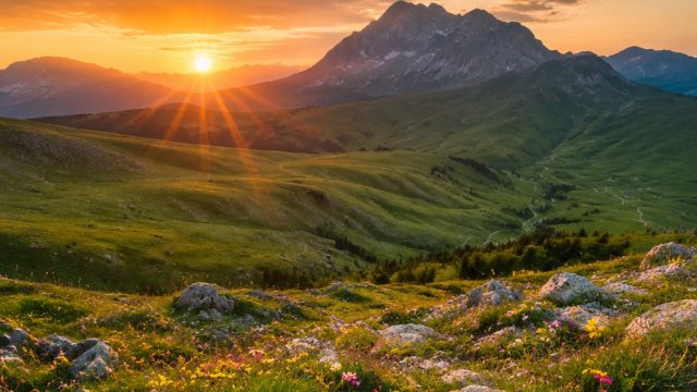 Capturing Nature: The Best Photography for Wallpaper Design | rtp kinghoki4d, oracle concat