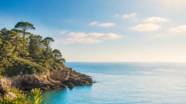 Charming Summer Vibes: Captivating Wallpapers for Your Screens | dewa787, nama slot 4d