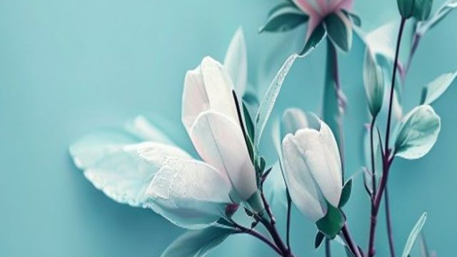 Embrace Serenity: Light Blue Wallpaper for Your Digital Space | room jp Olympus hari ini, deluna 4 d