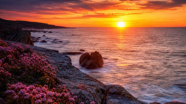 Captivating Wallpapers to Transform Your Digital Experience | link alternatif galaxy slot, 72 bidada