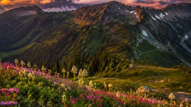 Captivating Landscapes: Stunning Nature Wallpapers for Every Screen | situs slot vip, frost queen ja
