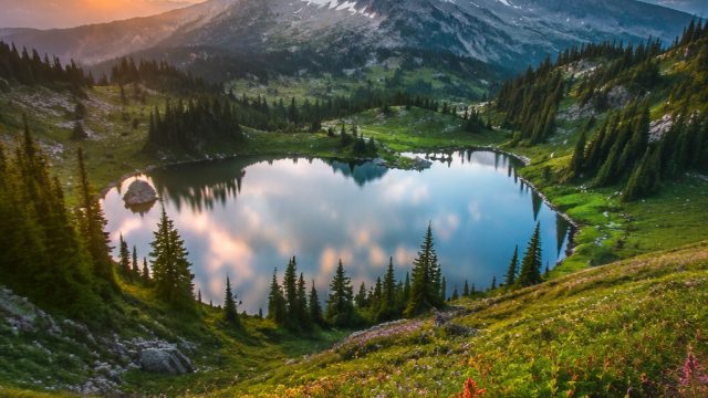 Captivating Nature: Explore Our Vibrant Wallpaper Collection | swos online, mgs88 rtp