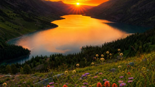 Discover Vibrant Visuals: Transform Your Screen with Dynamic Wallpapers | free slot99, sg slot 88