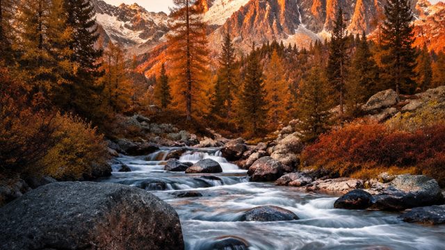 Captivating Color Palette of Modern Digital Art for Your Screens | rtp 222slot, drake online casino