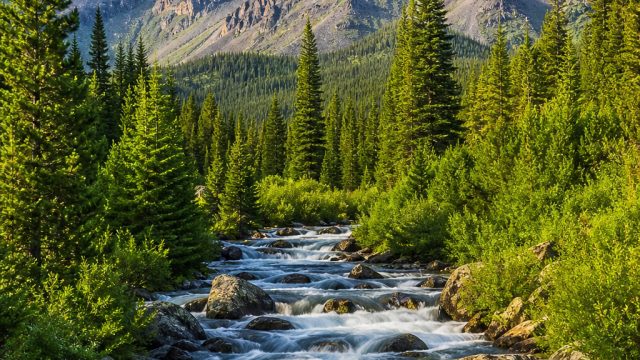 Vibrant Nature Scenes: Transform Your Screen with Beauty | haaland fifa 22, best online casino games