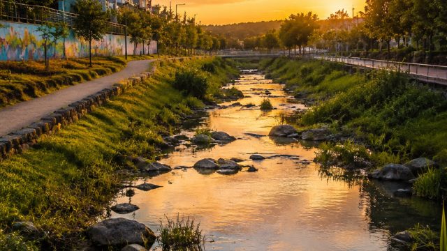 Reviving Neighborhoods: The Aesthetic Journey Through Zacate Creek | casino world free online slots,